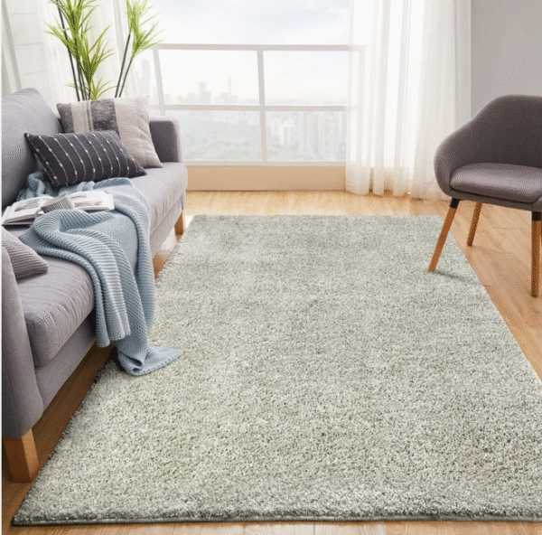 Rugs & Carpets