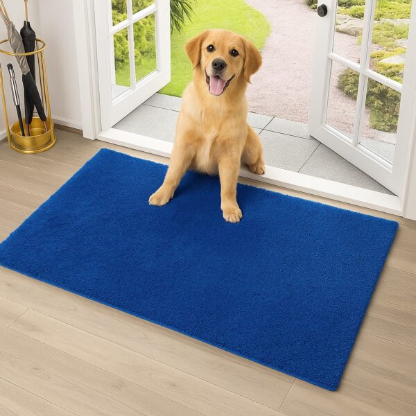 doormat